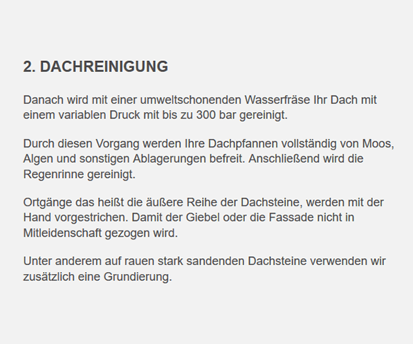 Dachreinigung 